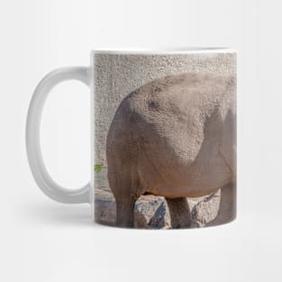 Young Asian Elephant Mug